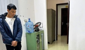 Kháng nghị toàn bộ bản án 6 năm tò người nuôi gà lôi: Rõ mức phạt hiện giờ